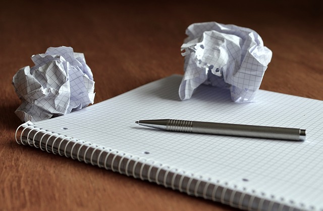 Modelo Canvas: añandir valor a la idea