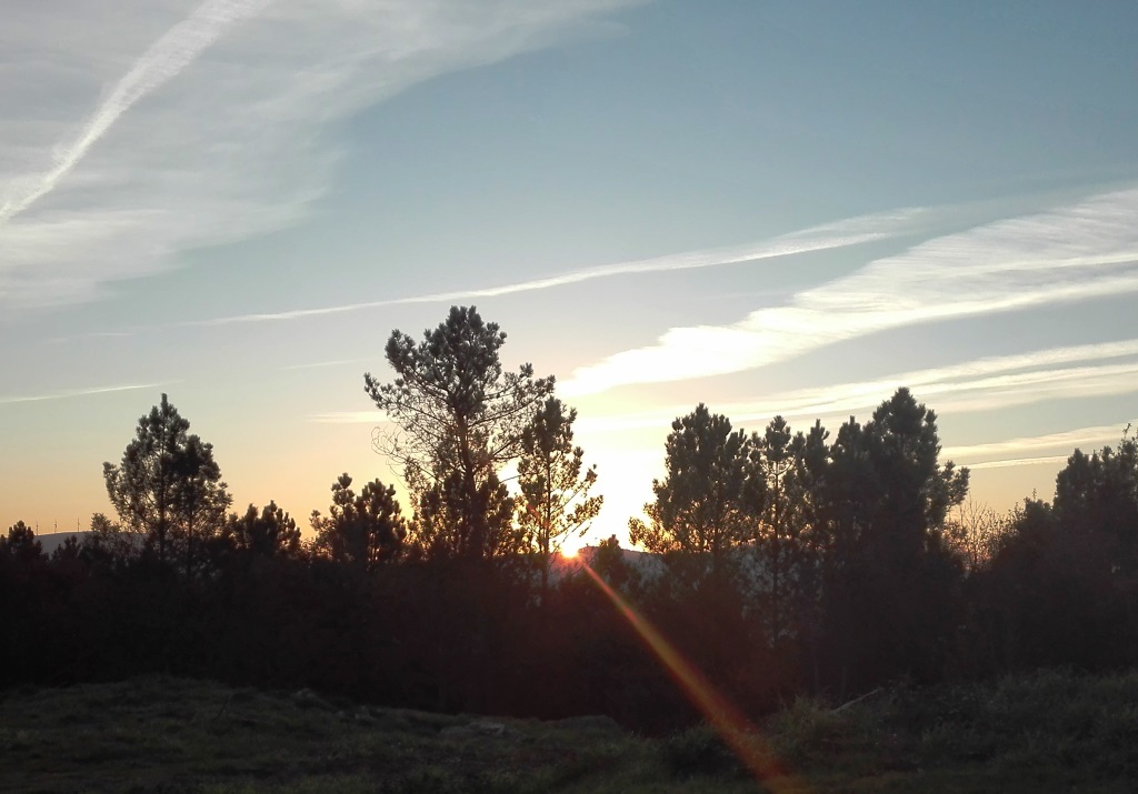 Ayudas para emprendedores del rural gallego